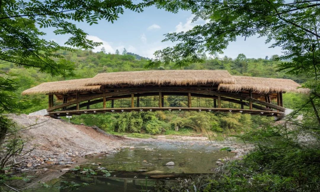 这些地方用竹子造桥备受当地人好评，竹桥有哪些应用场景？需求量有多大？