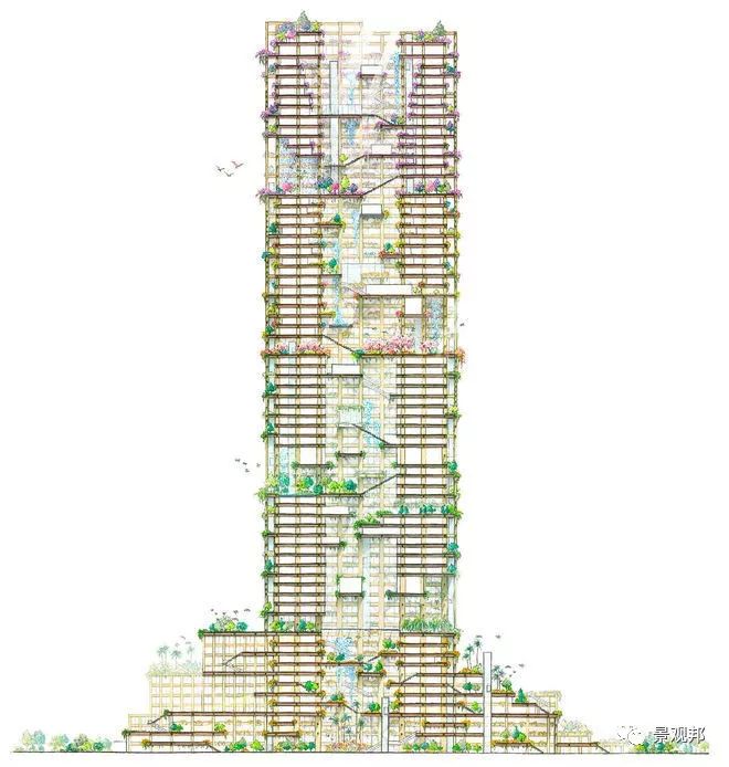 【行业资讯】木制摩天大楼，350米360亿，防火防震，贫穷限制了我的想象力！