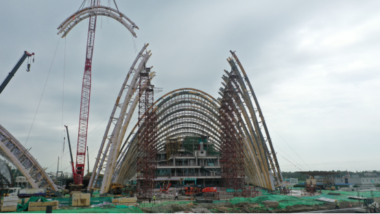 大跨度钢木组合结构--中国天府农业博览园主展馆圆满完工