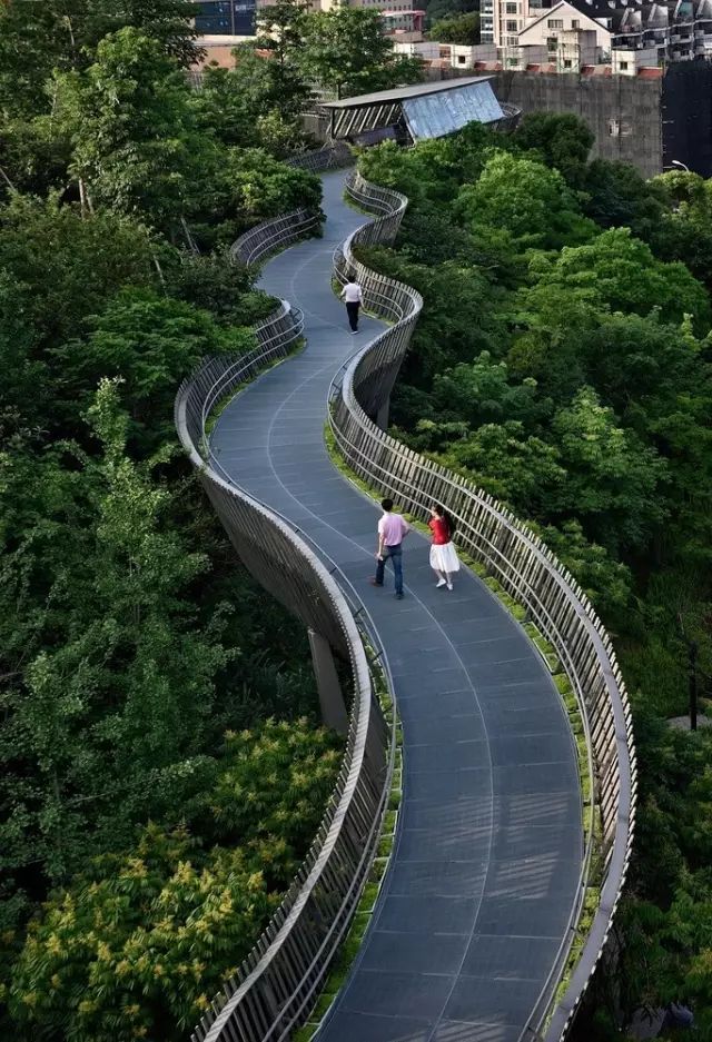 【行业资讯】世界最长的钢结构森林步道在中国建成，震撼！